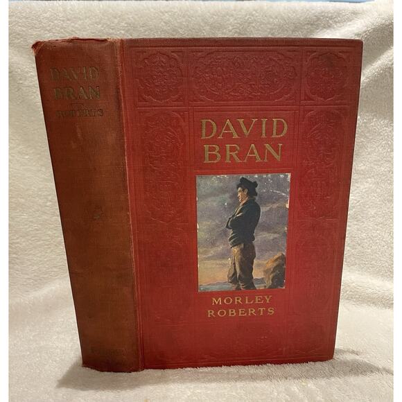 David Bran by Morley Roberts HC 1909 - Picture 3 of 8